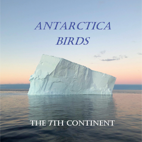 Antarctica Birds